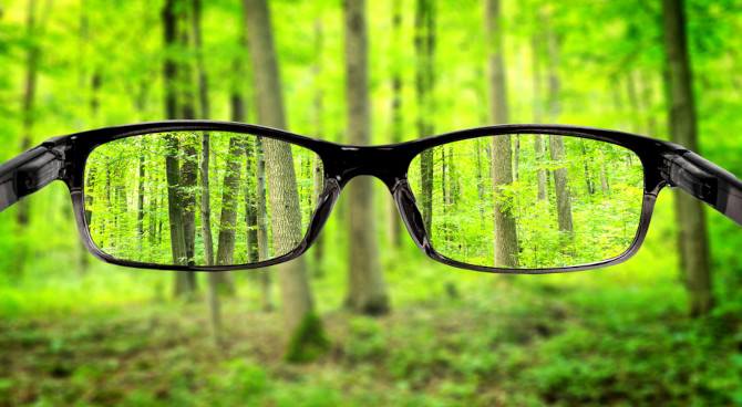 uma floresta vista por óculos