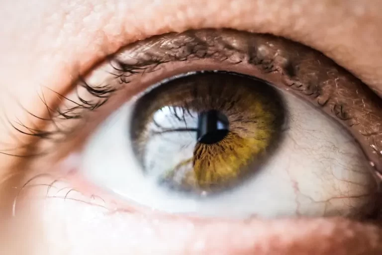 Foto com zoom em olho de cor mel esverdiado com cílios pretos
