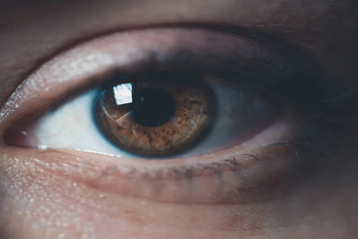 olho humano castanho que utiliza vitamina para os olhos