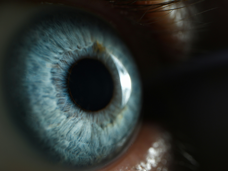 A imagem é um close-up detalhado do olho de uma pessoa, vista de perfil. A íris azul preenche a maior parte da imagem, com a pupila preta em seu centro. É possível ver a textura da íris, com linhas e variações de cor que se assemelham a fibras. Os cílios e a pele ao redor do olho estão levemente fora de foco, e o fundo é escuro.
