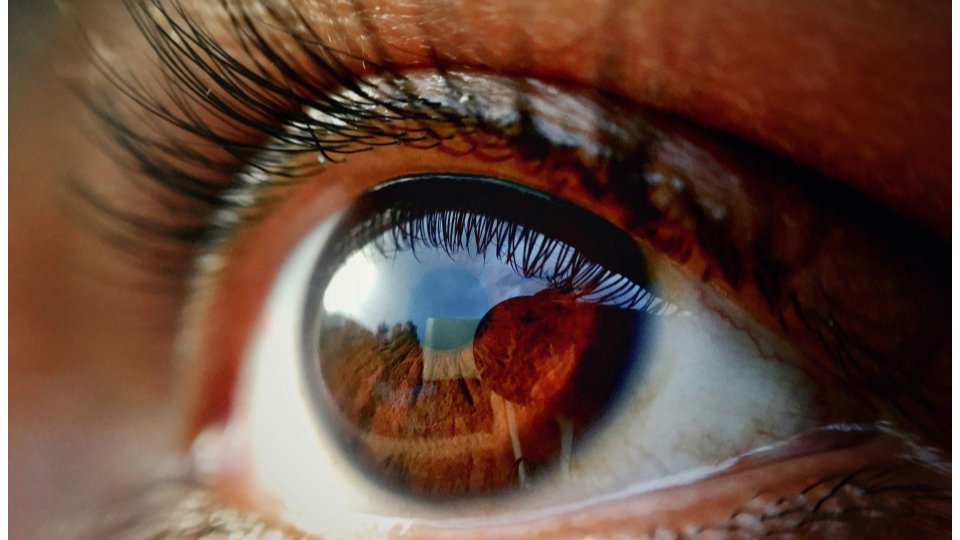 lose-up detalhado (fotografia macro) de um olho humano castanho, focando na sua complexidade.